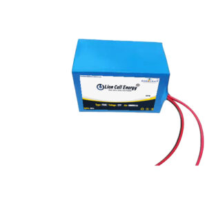 22.2V 5000Mah (6S2P) Lithium-ION Battery Pack