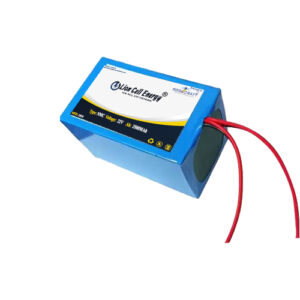 22.2V 2500MAh (6S1P) Lithium-Ion Battery Pack