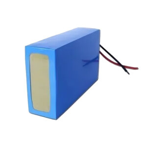 24V 10Ah (7S4P) Lithium-Ion Battery Pack