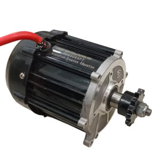 48V 1200W Brushless DC Motor